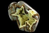 Calcite Crystal Filled, Polished Septarian Buffalo - Utah #123849-2